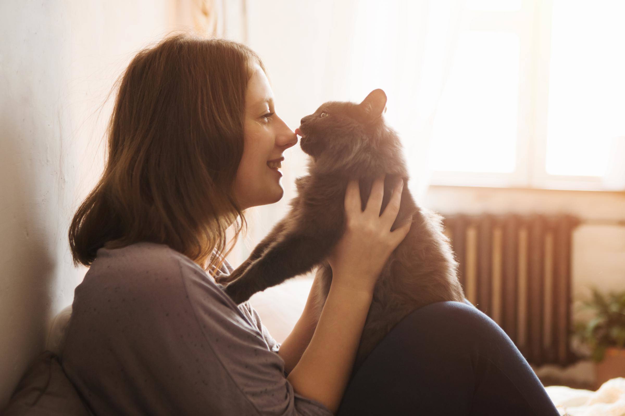 Katzenversicherung - Frau mit Katze auf dem Schoss